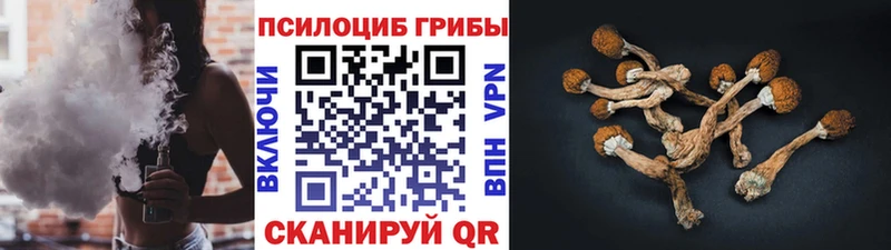 Галлюциногенные грибы мицелий  Давлеканово 